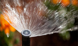 Hunter Irrigation Sprinkler